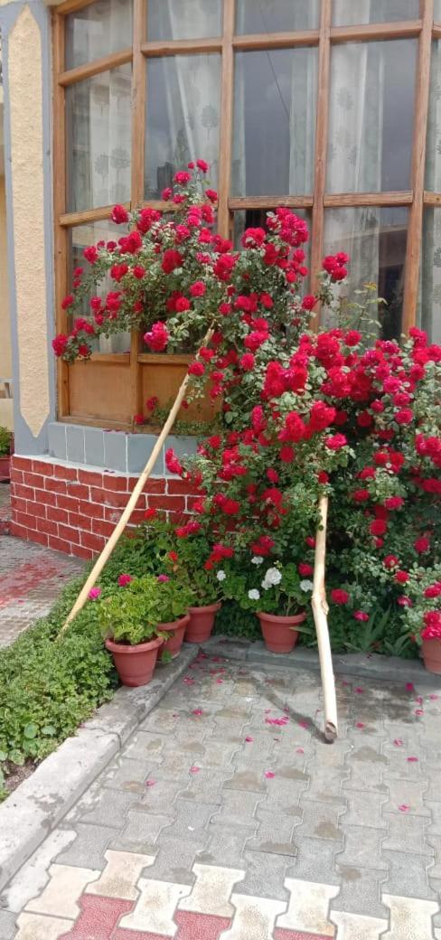 Hotel Lonchay Residency Leh Luaran gambar